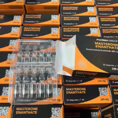 Masterone Enanthate PharmaGroup